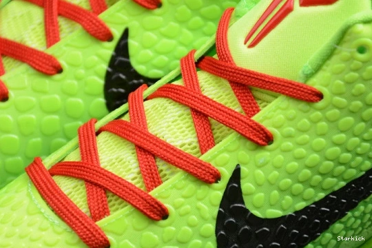 Protro Nike Grinch 6 CW2190-300 Kobe (2020) 0219